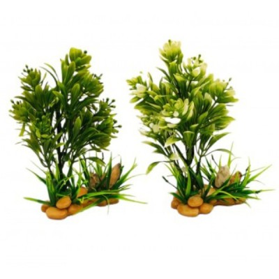 ΔΙΑΚΟΣΜΗΤΙΚΟ ΦΥΤΟ ΕΝΥΔΡΕΙΟΥ ΣΕ 2 ΧΡΩΜΑΤΑ 17Χ9CM